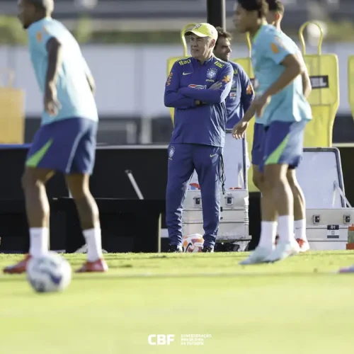 54563895724_c88139ed31_o