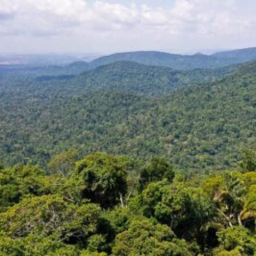 O vice-presidente da República, Hamilton Mourão, e os chefes de missões diplomáticas à Amazônia Oriental, fazem sobrevoo para a  sobre a Floresta Nacional de Carajás e visita à mineradora Vale.
