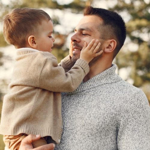 Family in a summer field. Father in a gray sweater. Cute little son.