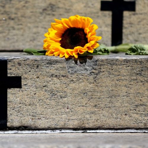 example-35